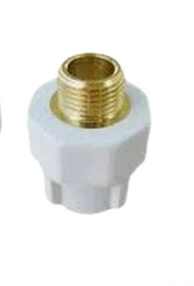 بوش مغزی ۲۰